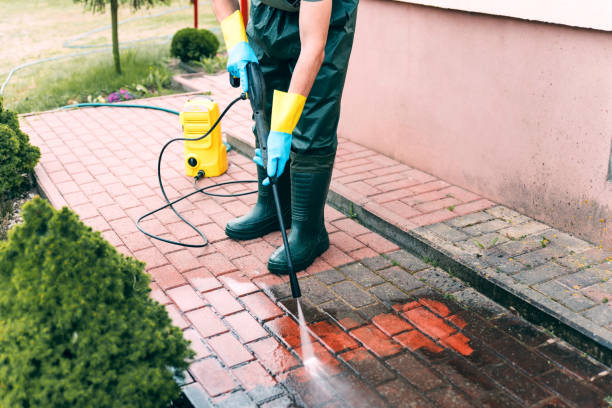 Best Roof Pressure Washing  in Riverview, SC