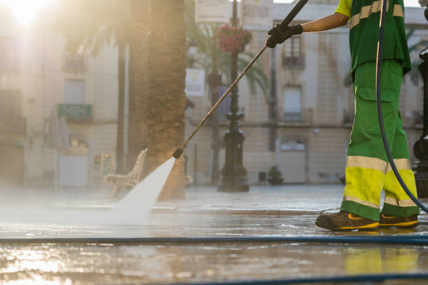 Best Roof Power Washing Services  in Riverview, SC